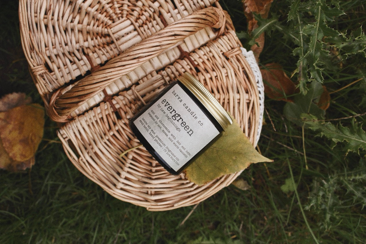 evergreen candle: for new beginnings