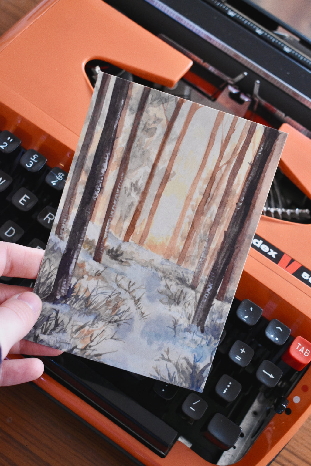 winter sunlight forest