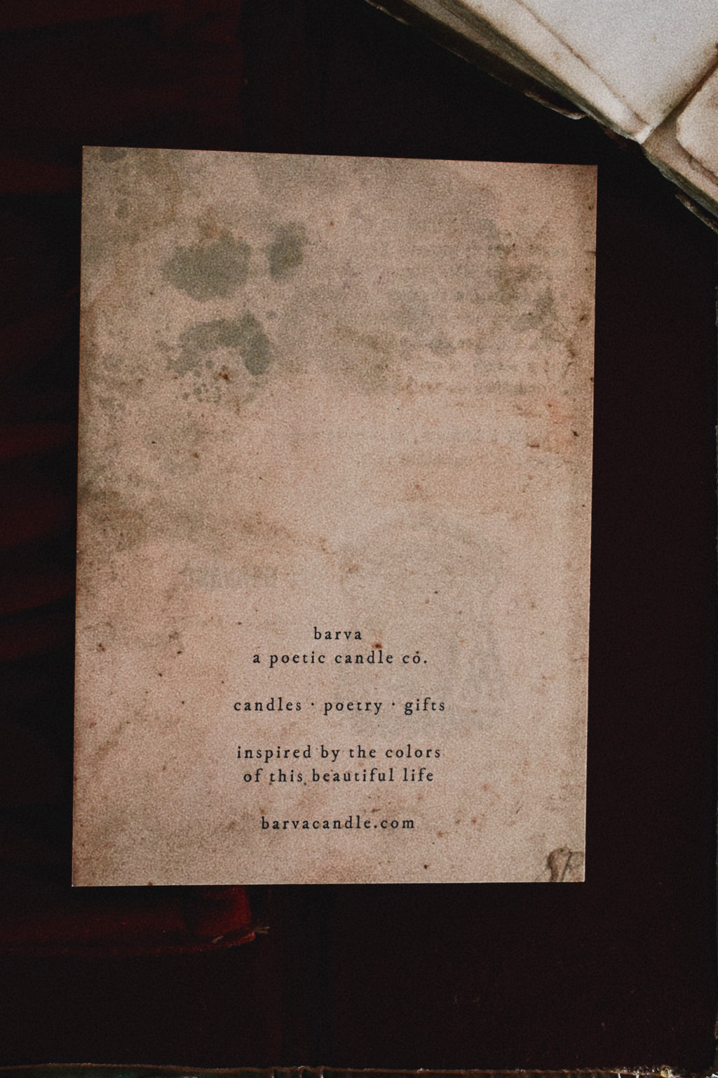 winter sunlight forest