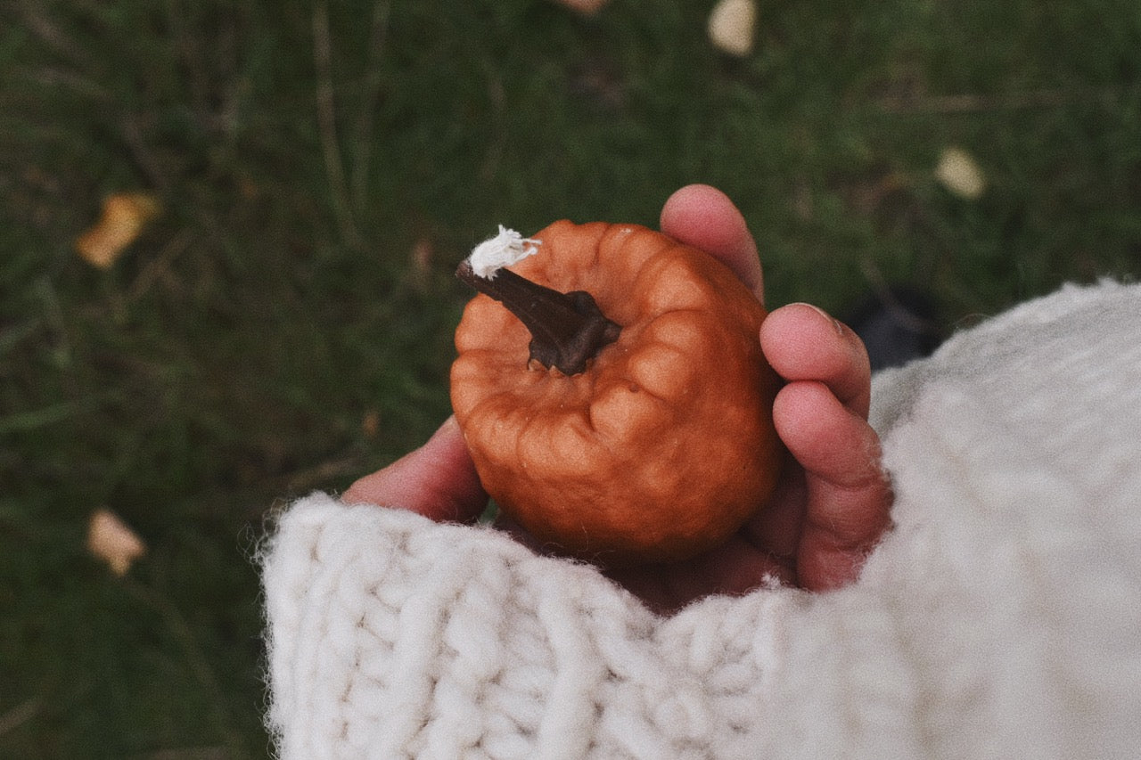 beeswax pumpkins