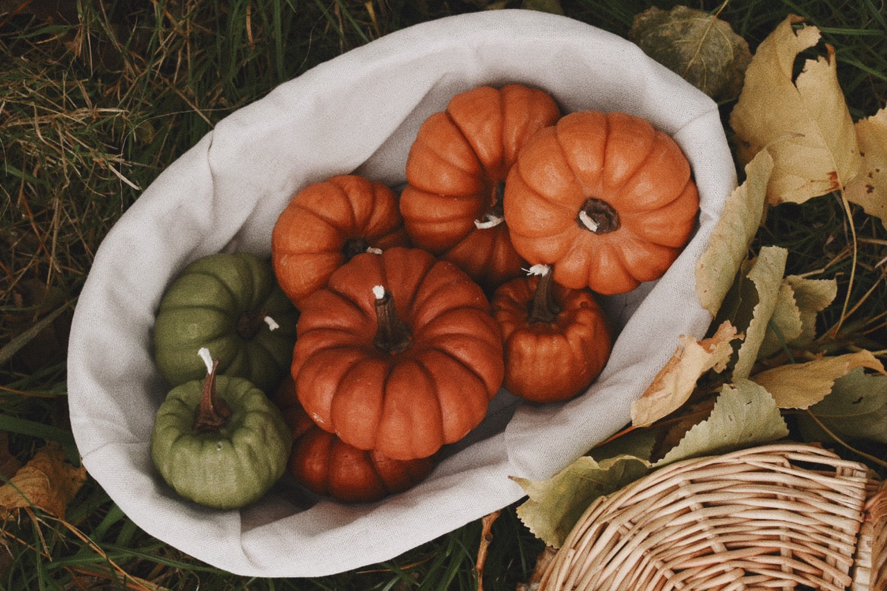 beeswax pumpkins