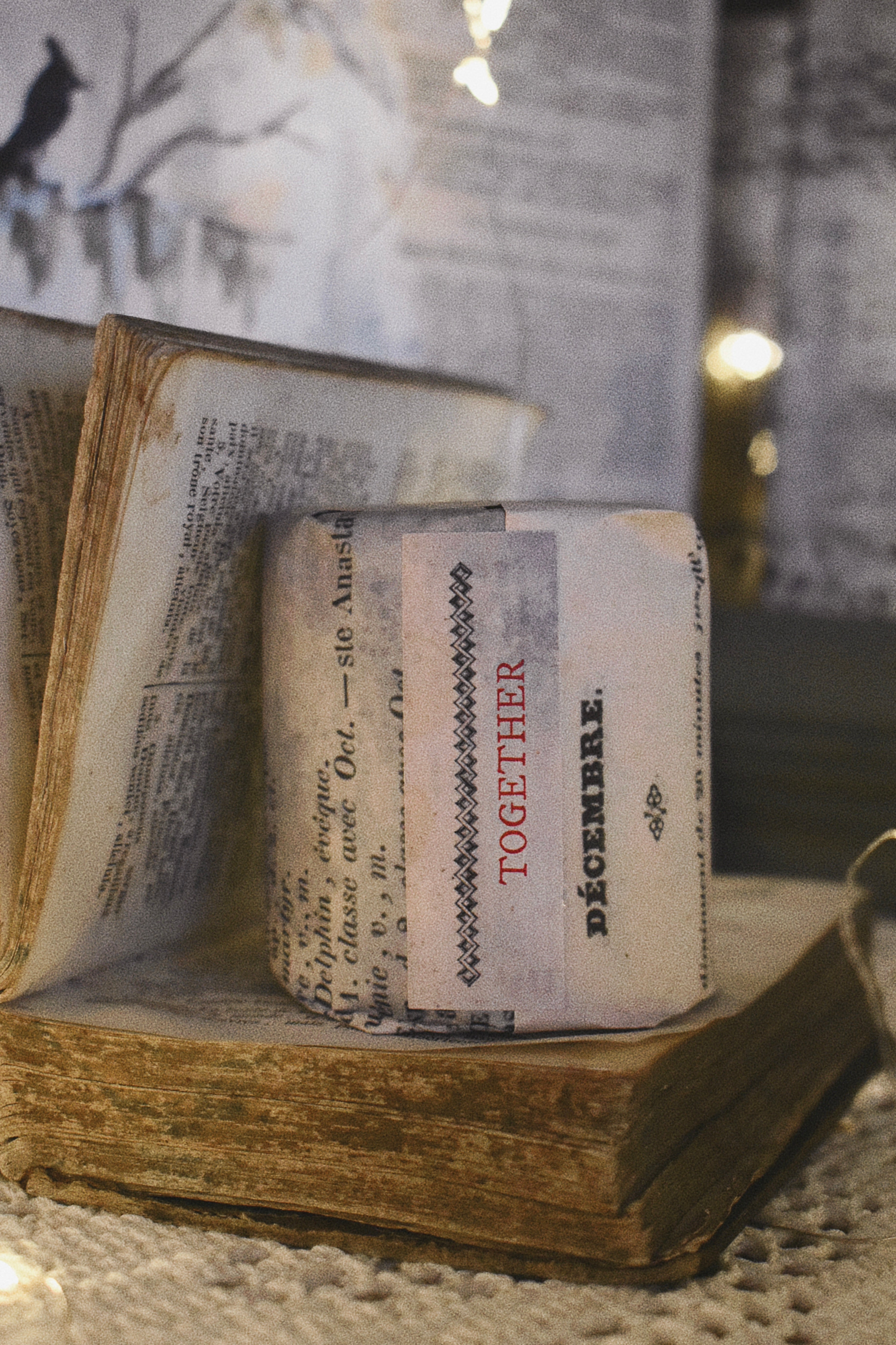 together: pine, cinnamon, warm spice, cedarwood