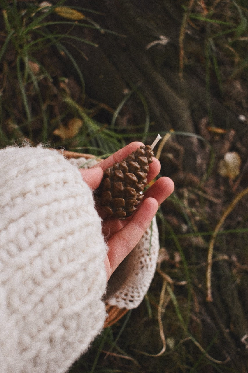 beeswax pinecones