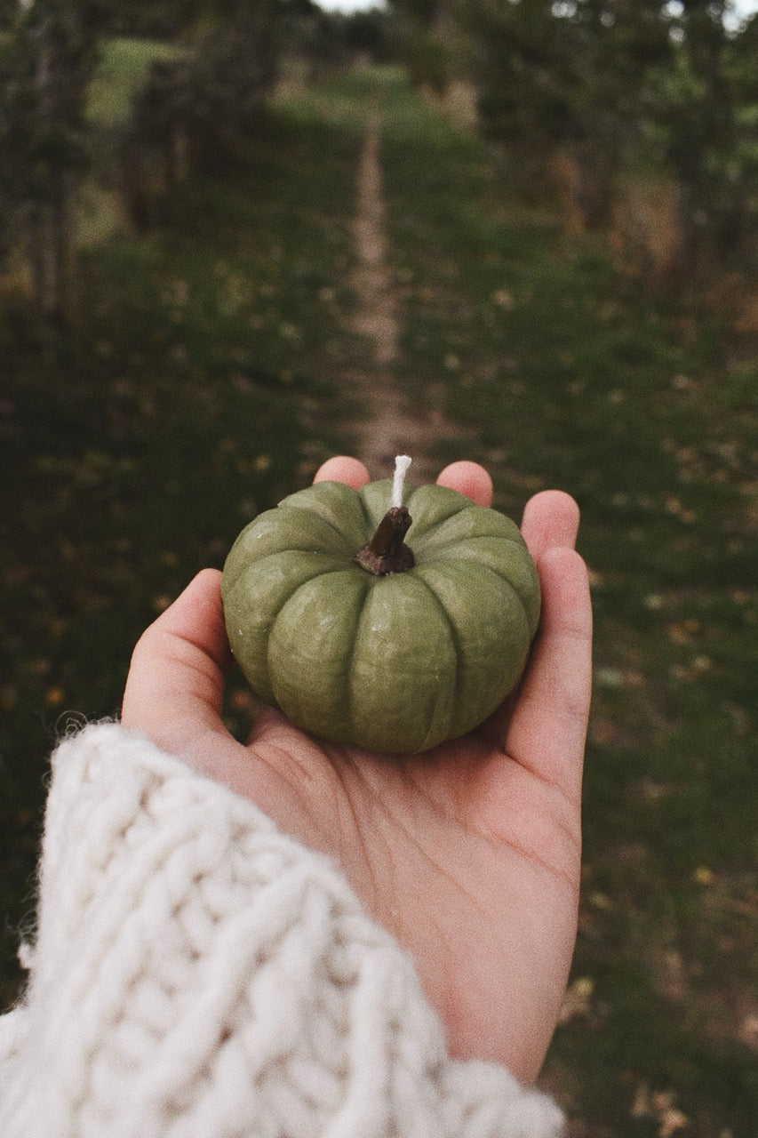 beeswax pumpkins