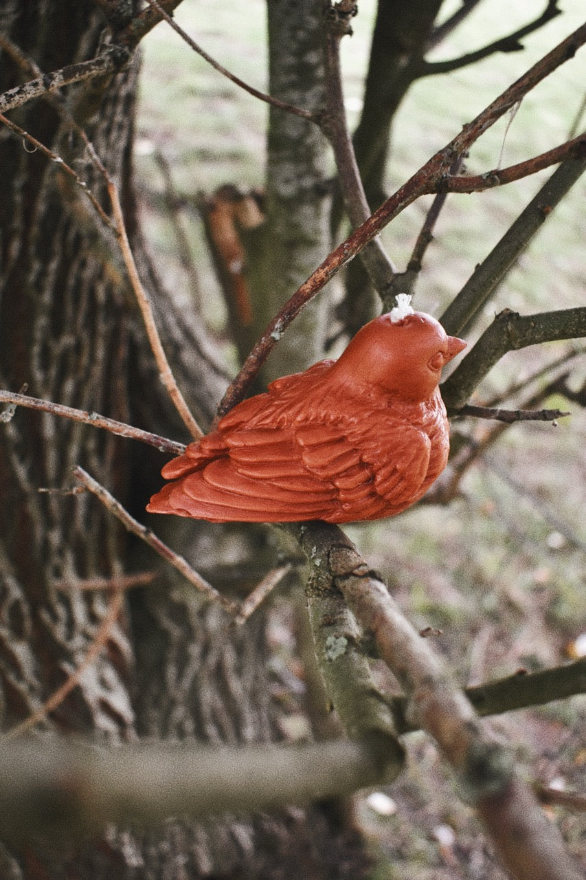 beeswax birds