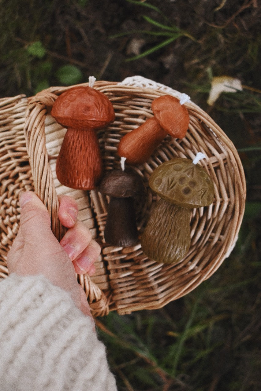 beeswax mushrooms