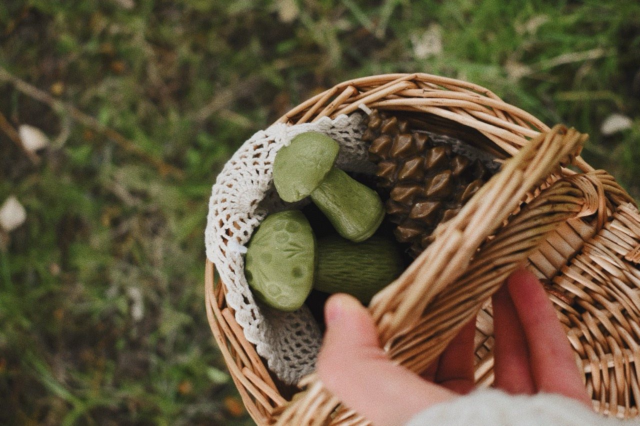 beeswax mushrooms