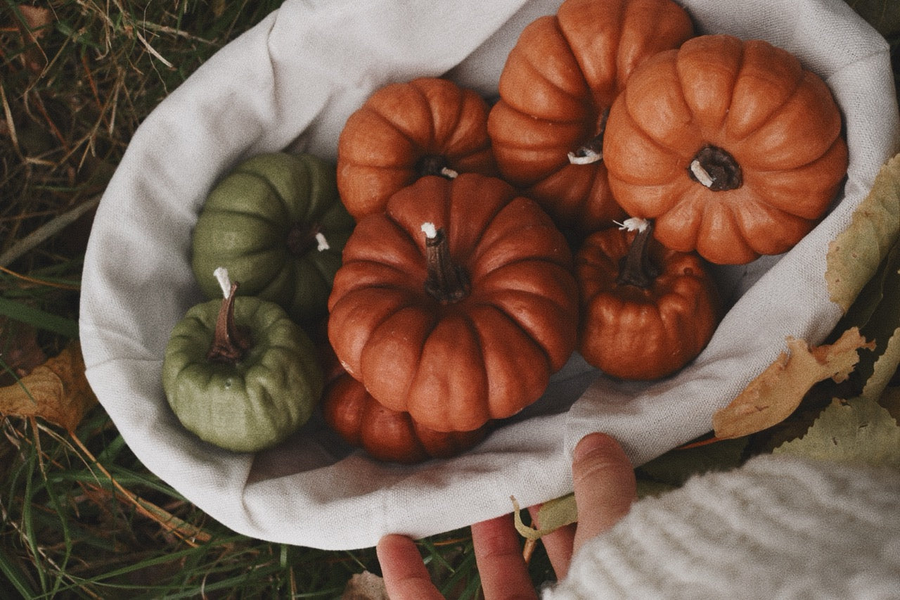 beeswax pumpkins