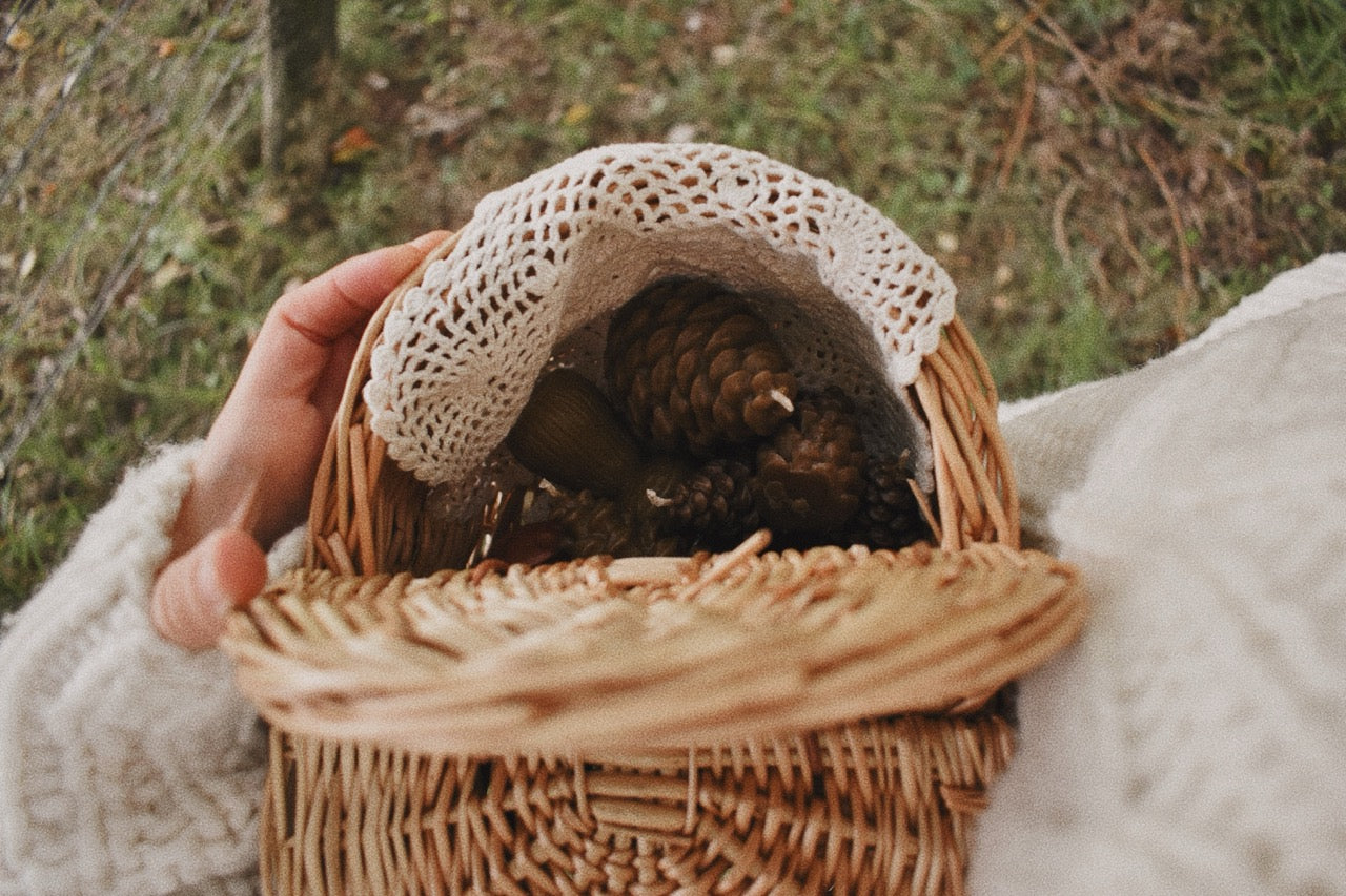 beeswax pinecones