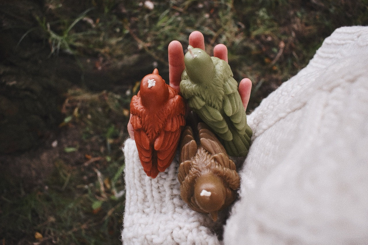 beeswax birds