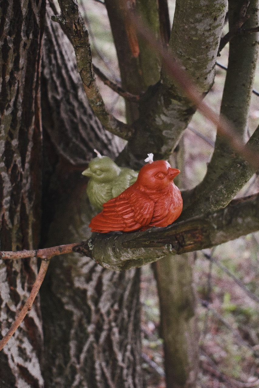 beeswax birds