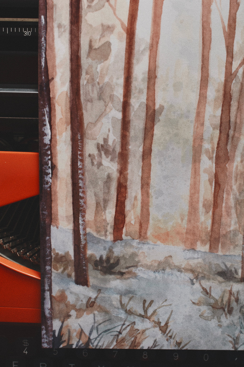 vigilia: pine needles, eucalyptus, juniper, balsam fir