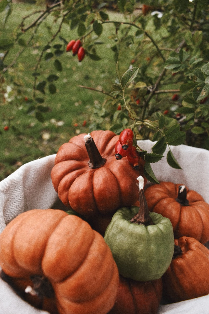 beeswax pumpkins