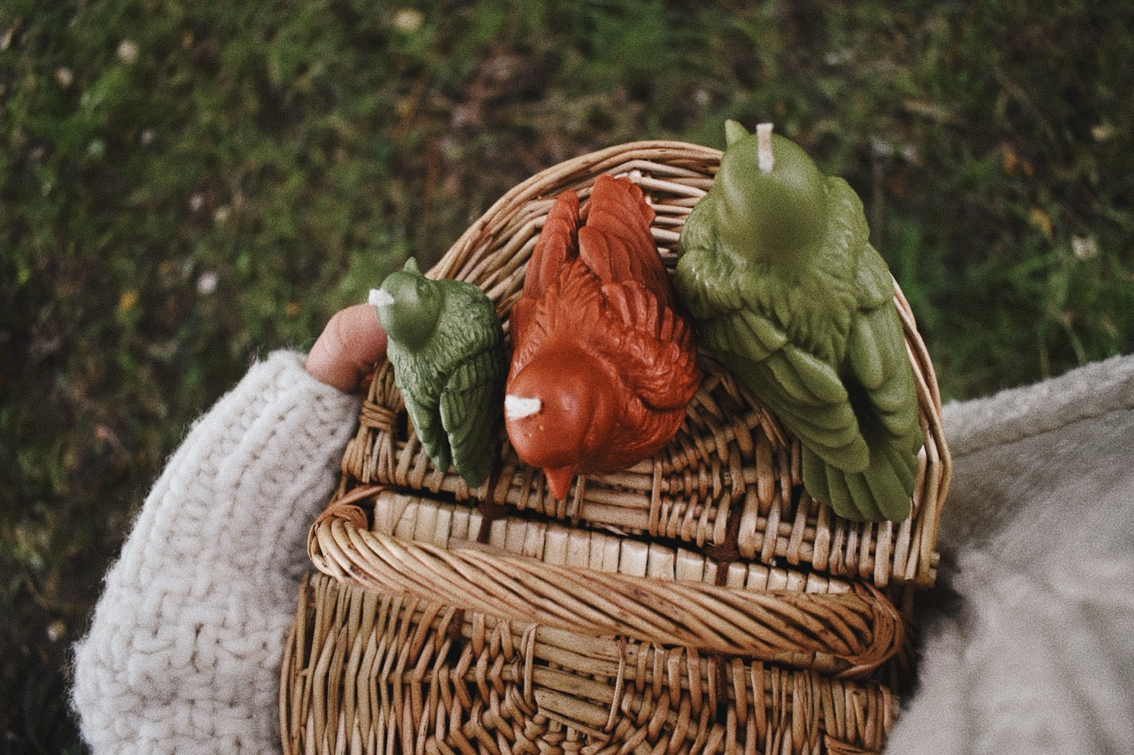 beeswax birds