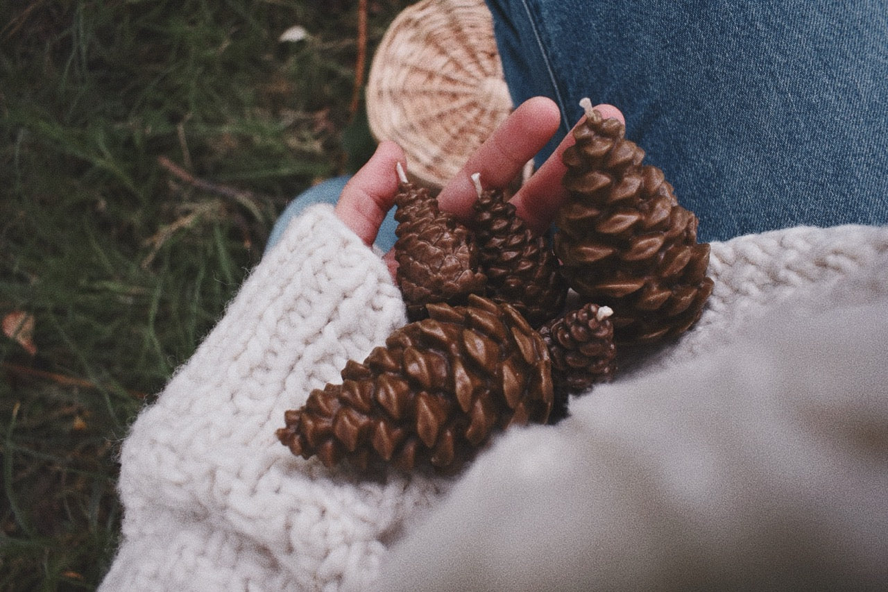 beeswax pinecones