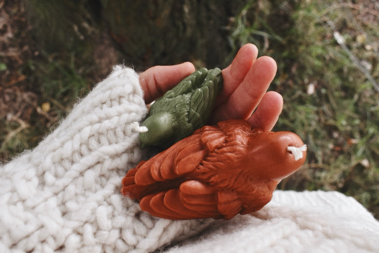 beeswax birds
