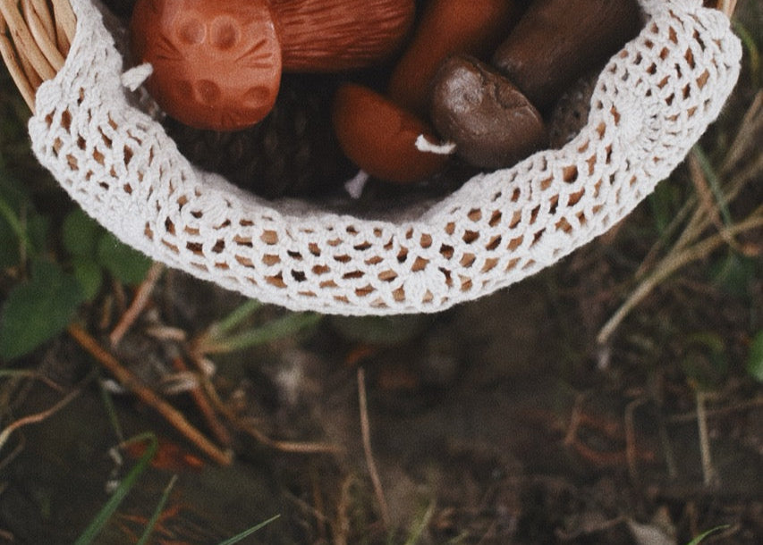 beeswax mushrooms