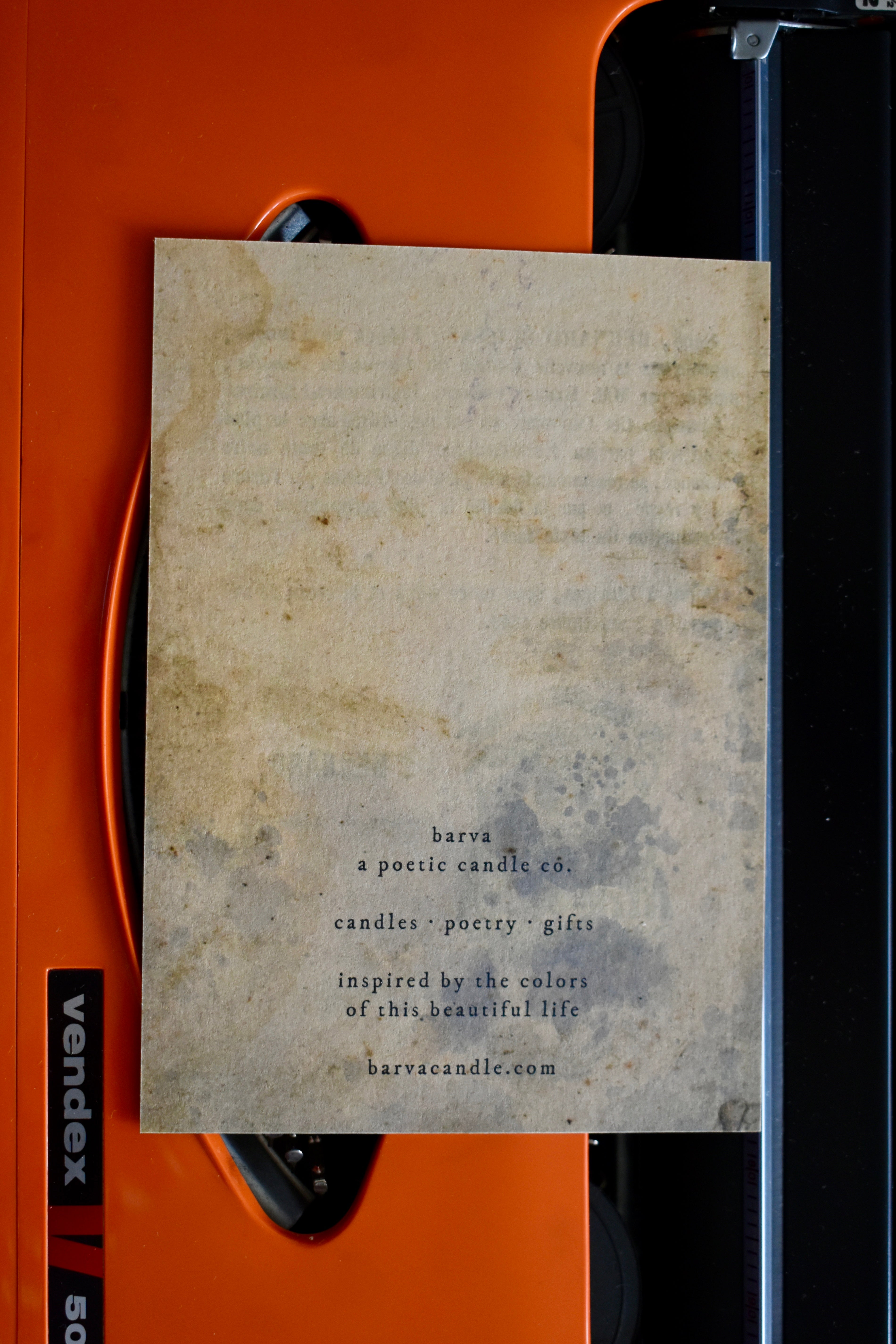 winter sunlight forest