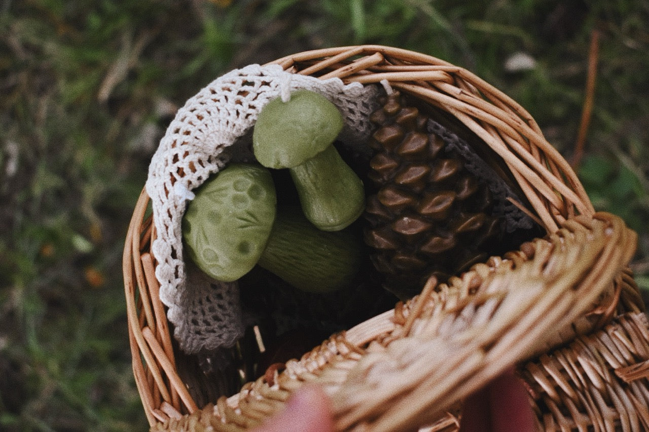 beeswax mushrooms