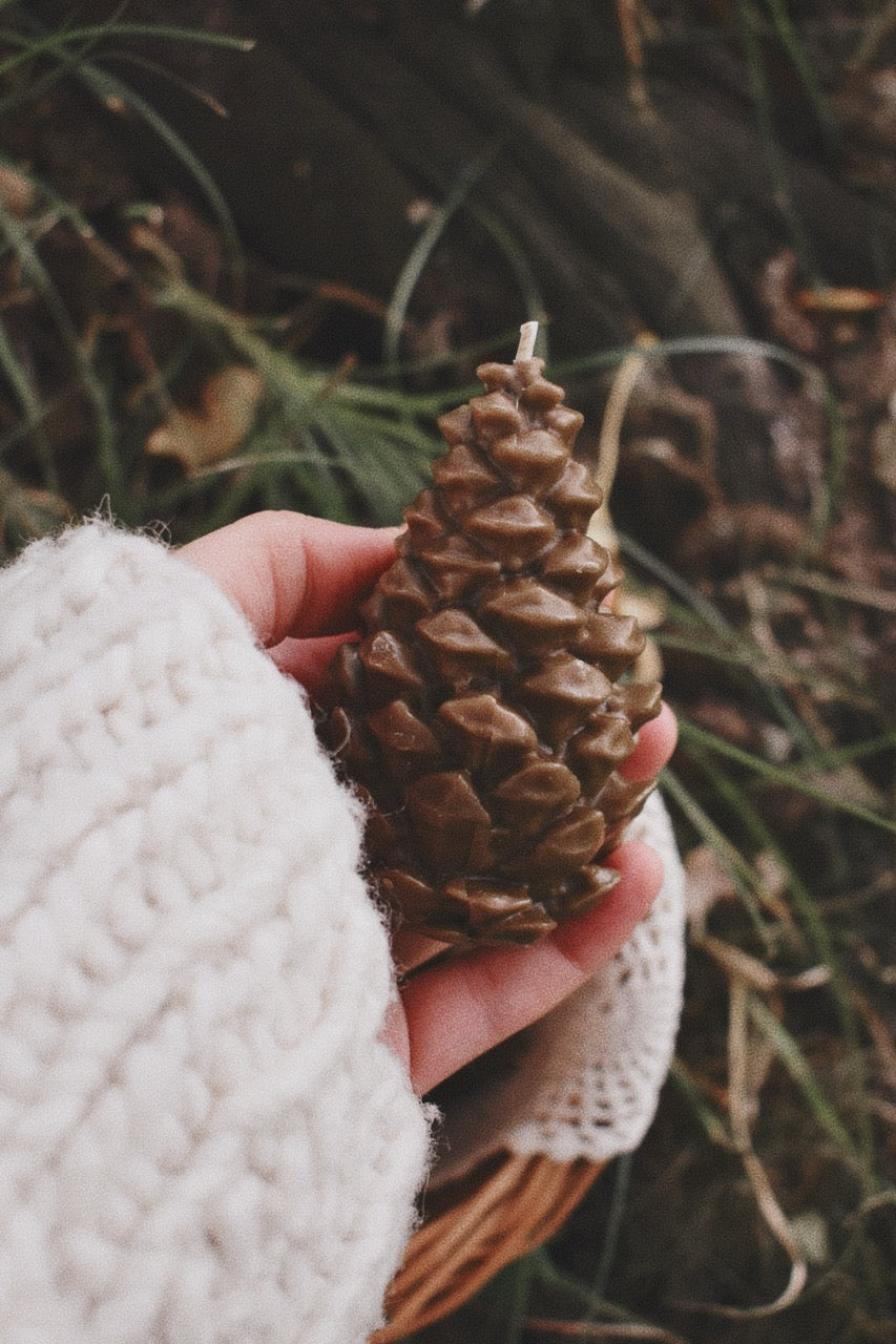 beeswax pinecones