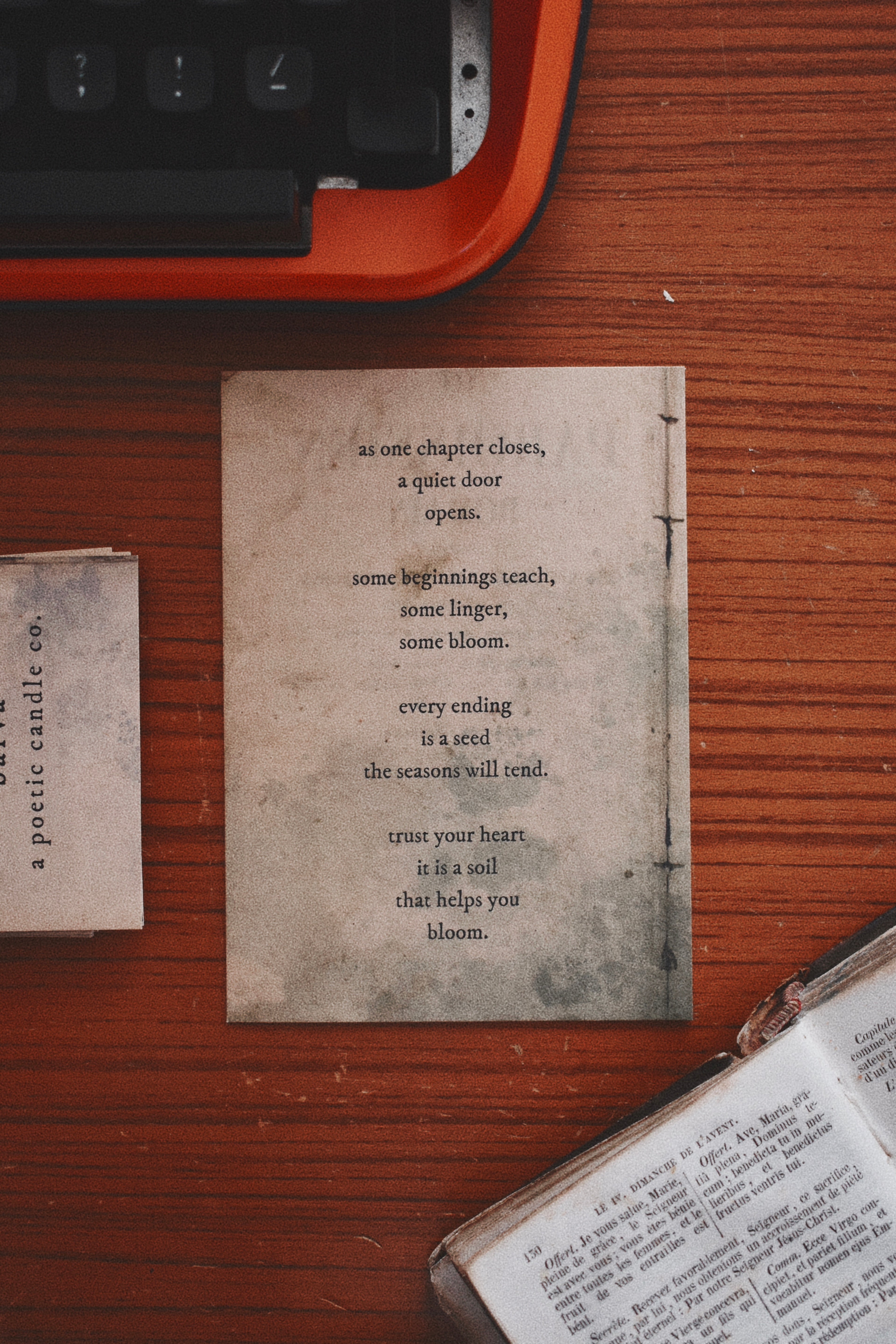 evergreen: chamomile, hay, oak moss