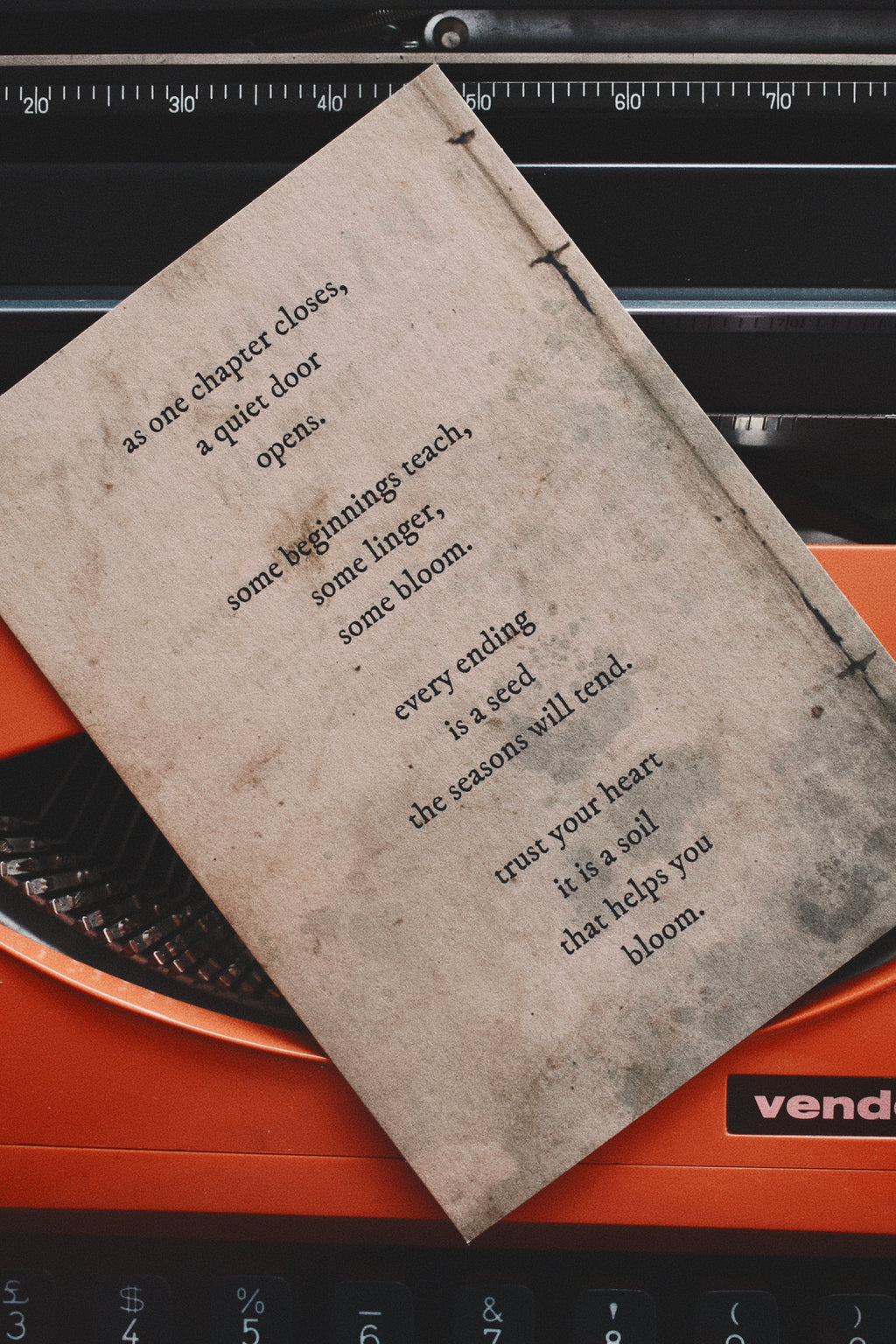 evergreen: chamomile, hay, oak moss