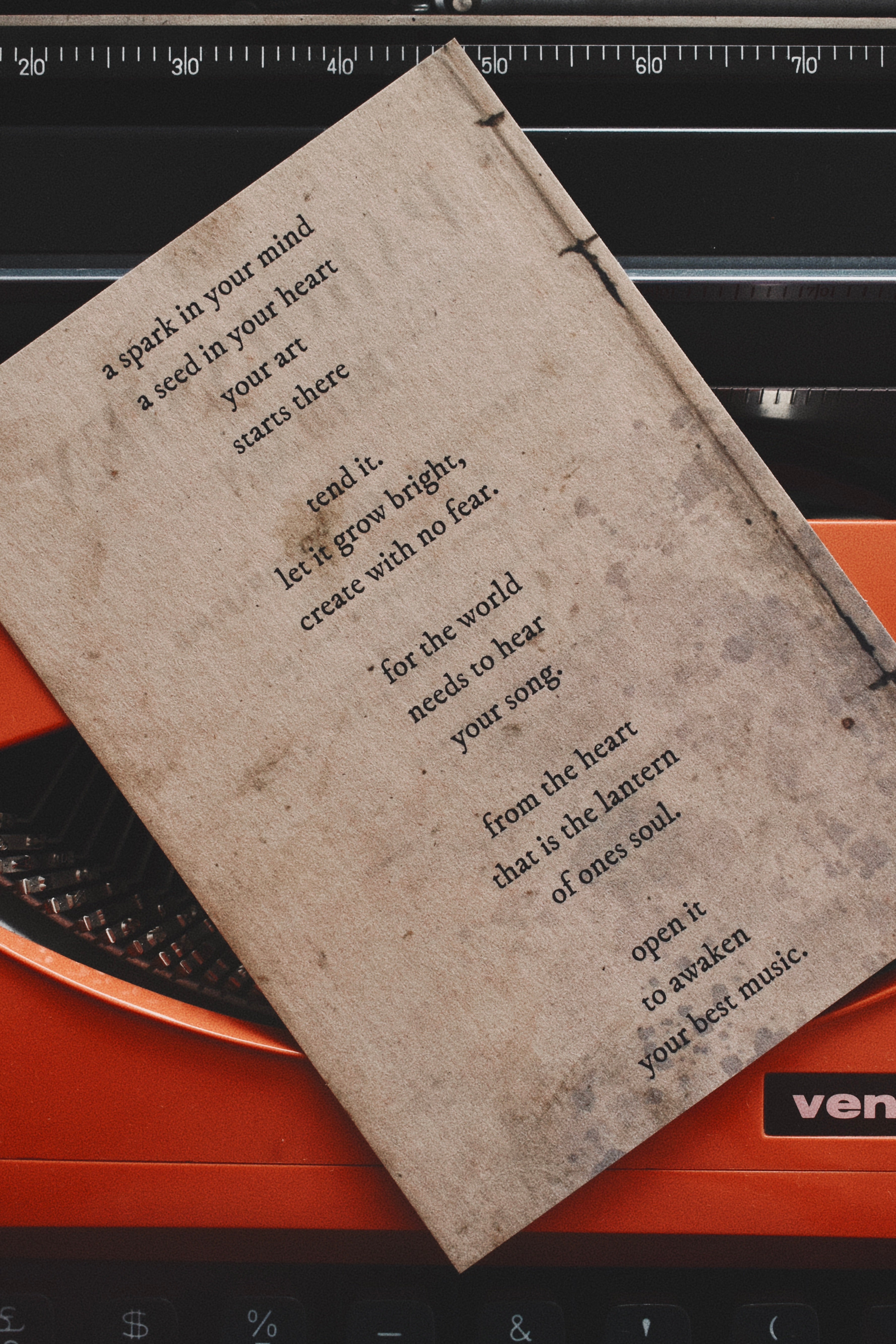 lumen: bergamot, cedarwood, tonka bean