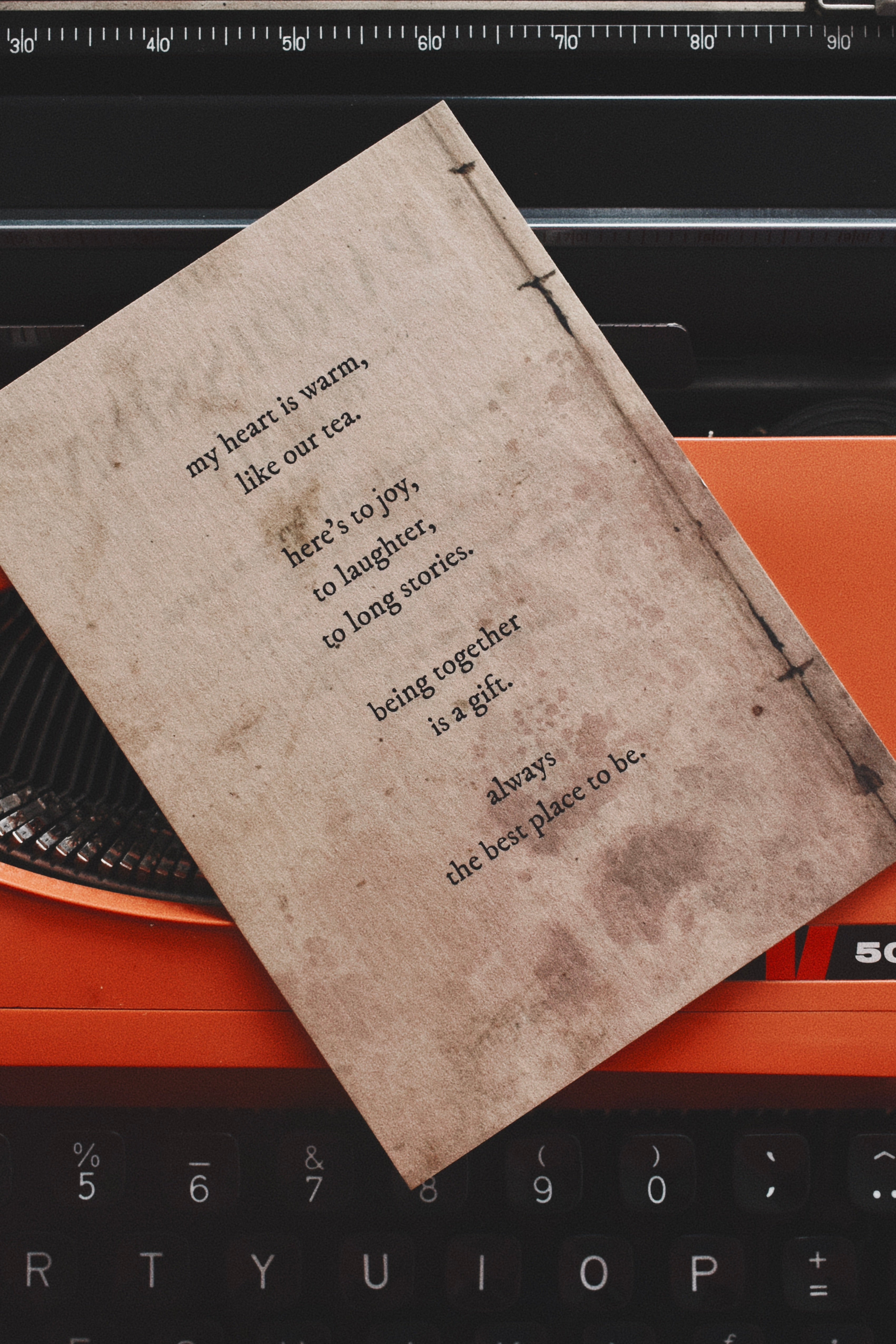 together: pine, cinnamon, warm spice, cedarwood