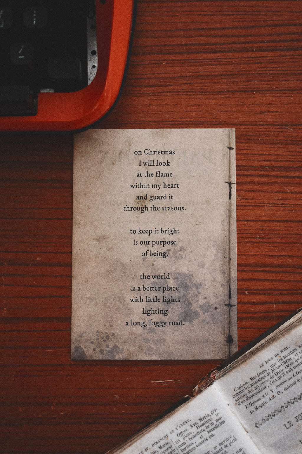 wonderness: cinnamon, warm spice, sugar, vanilla